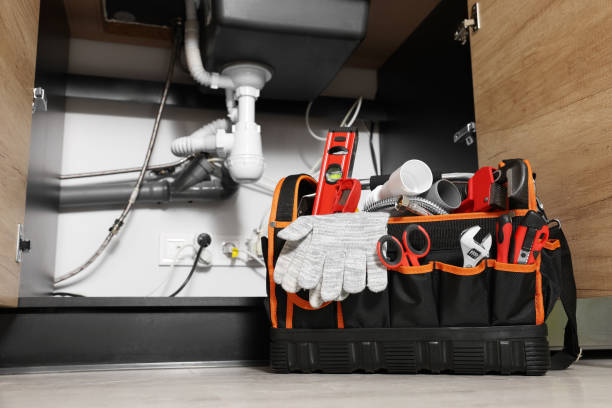 Best Septic Systems  in Rossvle, IL