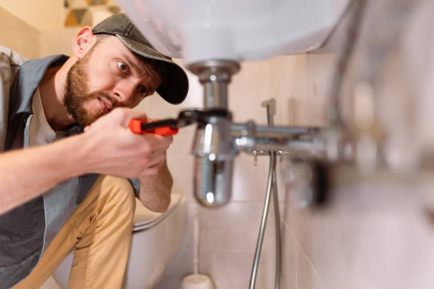 Best Commercial Plumbing Services  in Rossvle, IL