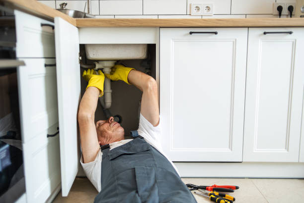 Best Local Plumber Services  in Rossvle, IL