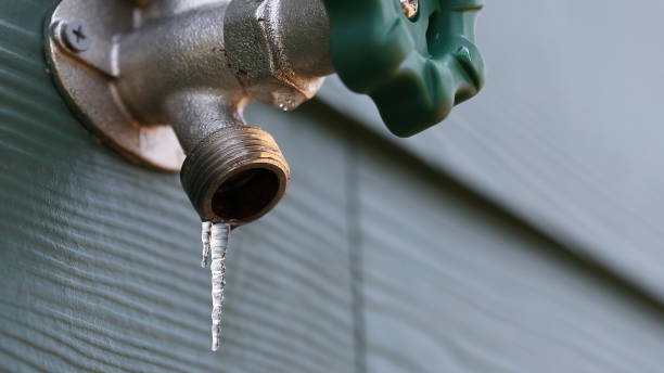 Best Plumbing Inspection Services  in Rossvle, IL